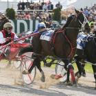 Mostly fine weather is forecast for New Zealand Cup and Show Week which starts on Tuesday.