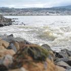 Stormwater pours into Otago Harbour from a Portsmouth Dr outfall on Thursday. Photo by Christine...