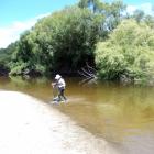 Murray Smart used a willow grub to catch a good-sized trout on the lower Taieri River. Photo:...