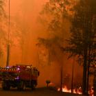 Fire trucks are seen during a bushfire in Werombi, 50 km southwest of Sydney. Photo: Reuters 