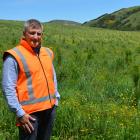 City Forests chief executive officer Grant Dodson in front of a year-old radiata pine plantation...