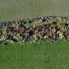 This planted wetland at Edievale in West Otago is being monitored to see how effectively it...