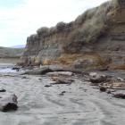 Coastal erosion in Southland is highlighted at several beaches — rising sea levels and increasing...