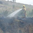 A firefighter battles an out-of-control burn-off in Beach Rd in Oamaru yesterday. Photo: Daniel...