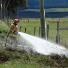 A firefighter tackles a grass fire in Island Stream Rd at Maheno yesterday. PHOTO: DANIEL BIRCHFIELD