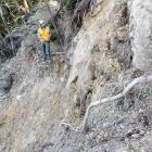 Workers examine a slip that pushed a digger 30m down a bank on the Paparoa Track. PHOTO: DOC
