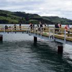 Fishers try their luck at the Boiler Point fishing jetty in Careys Bay on Sunday. PHOTO: SHAWN...