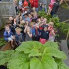 Taking out the regional top spot for tallest sunflower was Mosgiel Central Kindergarten. PHOTO:...