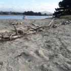 A driftwood fence built at Karitane in July has been successful in combating coastal erosion in...
