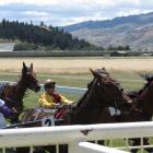 Lining up, ready to start the second race at the Wyndham Harness Racing Club’s race day are (from...
