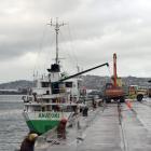 A wharf-side digger moves fertiliser from MV Anatoki on to a truck in the upper Otago Harbour....