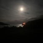 The blaze at Harington Point. Photo: Nicola McGrouther
