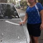 New Zealander Sonia Winslade (pictured) says ash spewing from Taal Volcano is coating their...