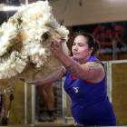 Pagan Karauria, of Alexandra, will return to Balclutha for the combined Otago shearing and 50th...