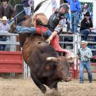 Omarama cowboy Clint McAughtrie (23) competes in the open bull ride event at the Outram rodeo...