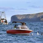 Boats off the coast of Cape Saunders. Photo: Stephen Jaquiery 