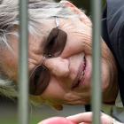 Croquet New Zealand president Kathie Grant peels the ball at the Leith Croquet Club yesterday....