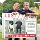 Louisa Andrew and Alan Funnell stand by the sign of their lost dogs yesterday. The sign has been...