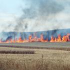 Flames leap skyward during a blaze at a farm near Kakanui in North Otago yesterday. Photo: Daniel...