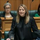 Invercargill National MP Sarah Dowie addresses the House.PHOTO: PARLIAMENT TV
