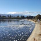 The pond  at Cromwell’s new $8 million wastewater treatment plant, with new aquarators installed....