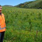 City Forests chief executive Grant Dodson at its recently acquired Takitakitoa Forest, south of...