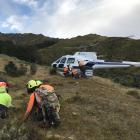 Wilding tree removal contractors are dropped off for a day's work near Eichardt's Flat, Arrowtown...