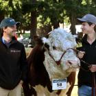 World Hereford Conference visitors Fernando (with a Rural Livestock cap on) and Guzman Alfonso,...