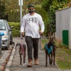 Taking the greyhounds for a walk on Ashgrove Tce, Somerfield.