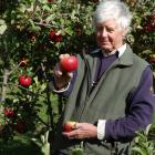 John McLaren holds a rare apple with a historical past. PHOTO: MARK PRICE