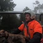 Orokonui Ecosanctuary conservation manager Elton Smith and border terrier Pip head off to check a...