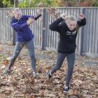 Playing in the leaves on Paparoa St, Papanui.