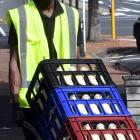 Qhawe Sibanda delivers essential Holy Cow milk to Taste Nature in Dunedin. PHOTO: STEPHEN JAQUIERY