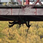 Hanging out . . . Fulton Hogan contractors work above and below the deck of Luggate’s Red Bridge...