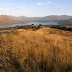 Lake Wanaka seen from the top of Mt Iron. Photo by Marjorie Cook.