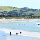 A man was arrested at St Clair beach today after reports he was approaching women. Photo:...