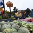Darryl Peirce and Lynley Stuart of The Pumpkin Place, Millers Flat, check the next day’s...