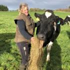 Getting on board ... Wyndham dairy farmer Helen Cummings is to become a director on the Holstein...