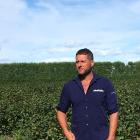 South Canterbury blackcurrant grower Hamish McFarlane. PHOTO: SUPPLIED