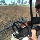 Beaut smoko window ...Brian Leadley grabs a quick bite during clover harvesting. PHOTO SUPPLIED.