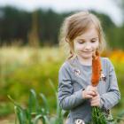 Many have rediscovered gardening of late. PHOTO: GETTY IMAGES