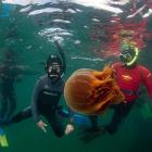 Bubbling along ... Stewart Island Adventures is using innovation to boost the island’s economy...