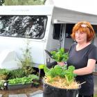 Mosgiel Caravan Park resident Vicki Sim is frustrated at having to get rid of her garden. PHOTO:...