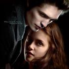 The stars of 'Twilight', Robert Pattinson and Kristen Stewart.