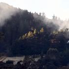 The fire turned out to be a controlled burn. Photo: Craig Baxter