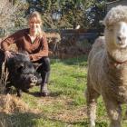 Siana Fitzjohn with her KuneKune pig Splodge and sheep Little Hope. Photo: Geoff Sloan
