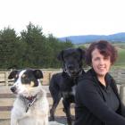 Gaye Cowie, of Tuapeka West, has added the Beef + Lamb New Zealand Southern South Island Farmer...