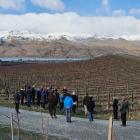 About 30 people attended the Central Otago Young Viticulturist of the Year educational day at...