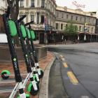 Lime Scooters have been used in Dunedin since January 2019. Photo: ODT files 