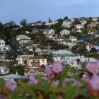 Residential house values in Dunedin have increased 18.9% in the past year. PHOTO: SHAWN MCAVINUE
...
